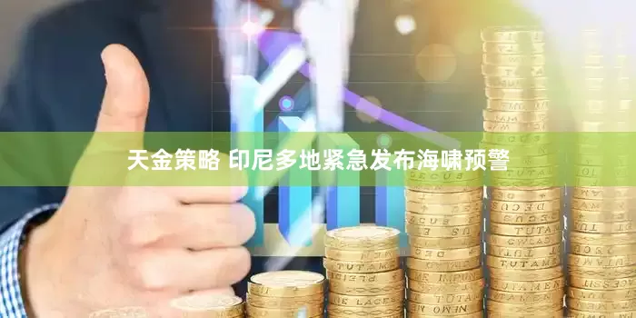 天金策略 印尼多地紧急发布海啸预警